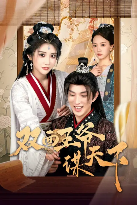 《双面王爷谋天下》封面