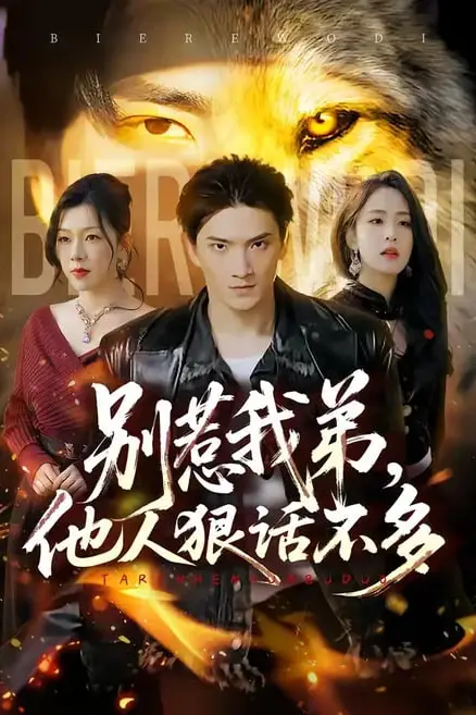 《别惹我弟，他人狠话不多》封面