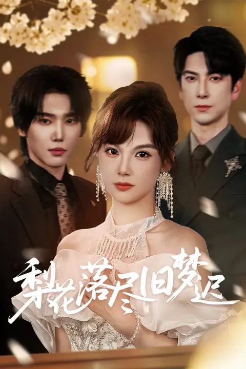 《梨花落尽旧梦迟》封面