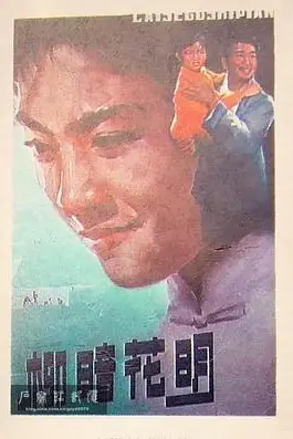 《柳暗花明》封面