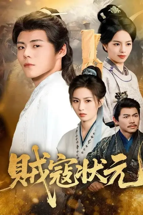 《贼寇状元》封面