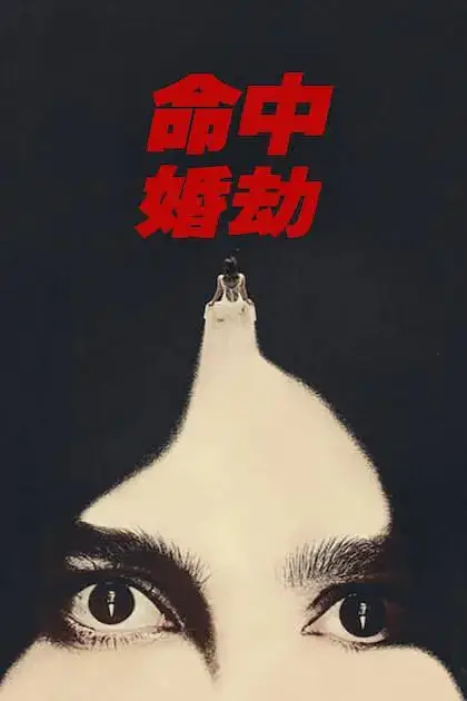 《命中婚劫》封面