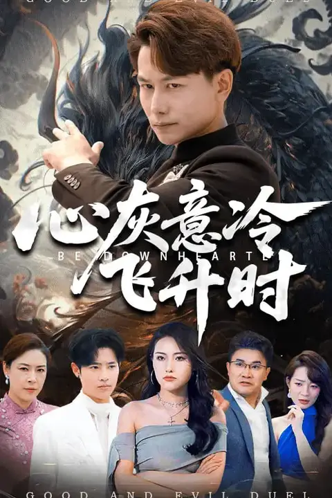 《心灰意冷飞升时》封面