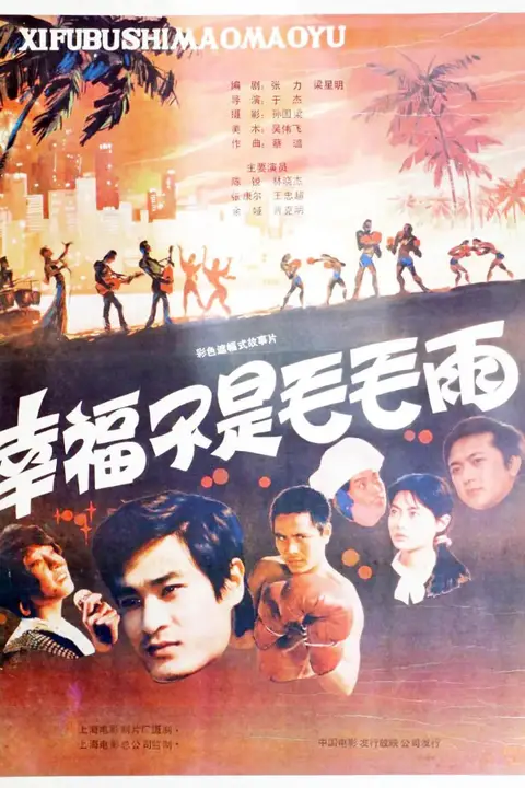 《幸福不是毛毛雨》封面