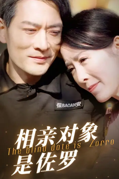《相亲对象是佐罗》封面