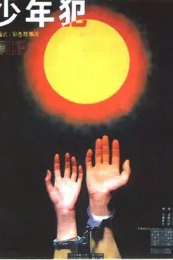《少年犯 1985版》封面