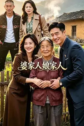《婆家人娘家人》封面