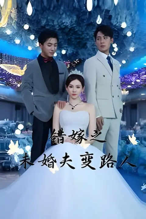 《错嫁之未婚夫变路人》封面
