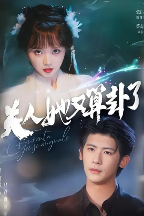 《夫人她又算卦了》封面