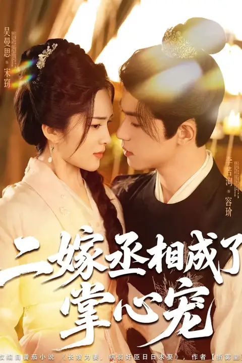 《二嫁丞相成了掌心宠》封面