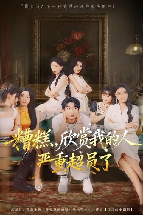 《糟糕，欣赏我的人严重超员了》封面