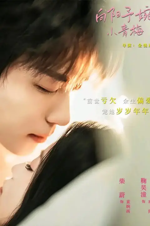 《向阳予婉小青梅》封面