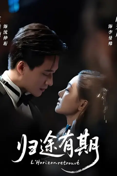 《归途有期》封面
