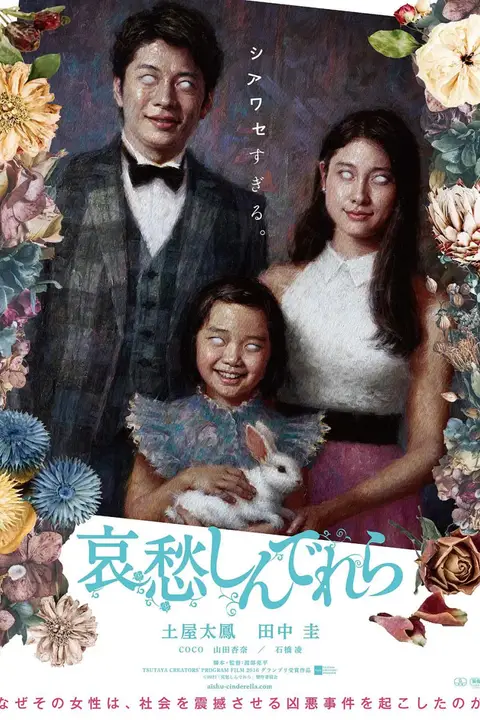 《哀愁灰姑娘》封面