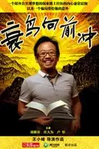 《衰鸟向前冲》封面
