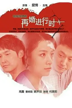 《再婚进行时》封面