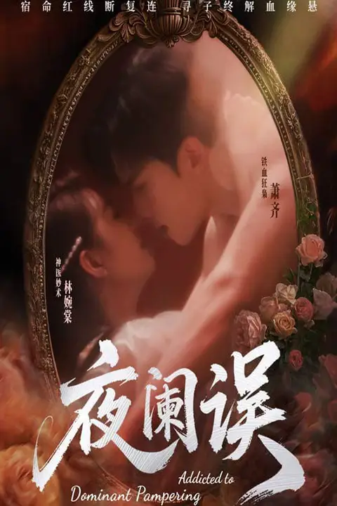 《夜阑误》封面