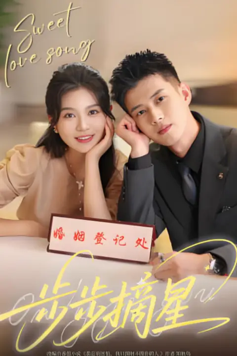 《步步摘星》封面