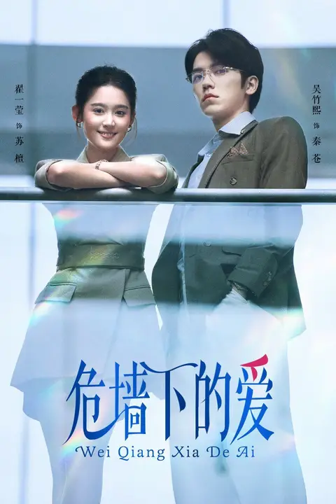 《危墙下的爱》封面
