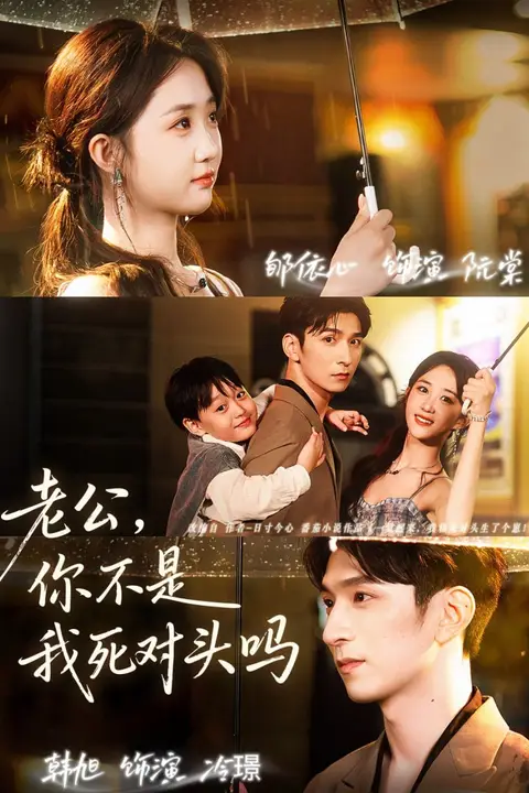 《老公,你不是我死对头吗》封面
