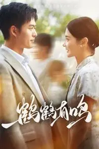 《鹤鹤有鸣》封面