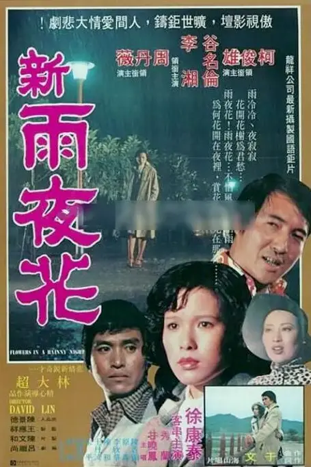 《新雨夜花》封面