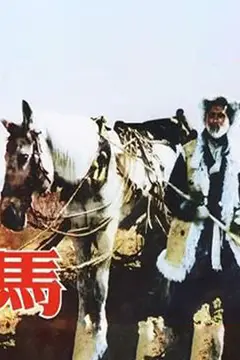 《马 1956》封面