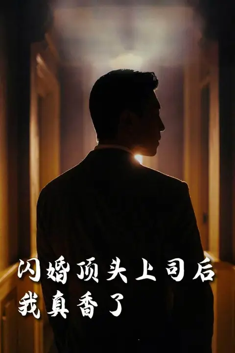 《新闪婚顶头上司后我真香了》封面