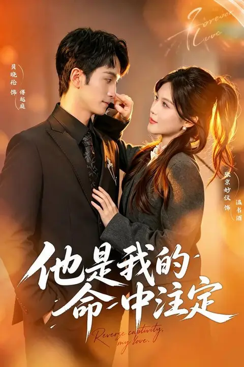 《他是我的命中注定》封面
