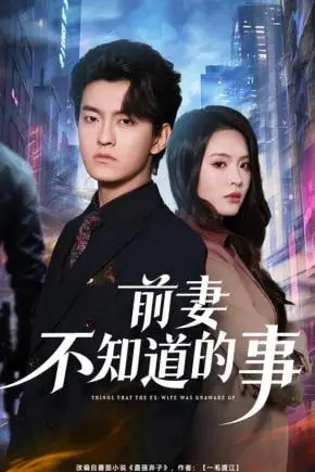 《前妻不知道的事》封面