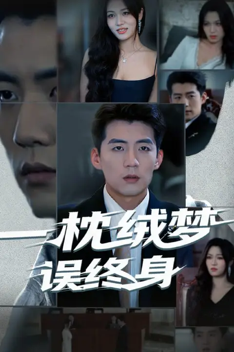 《一枕绒梦误终身》封面