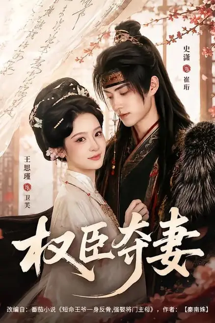 《权臣夺妻》封面