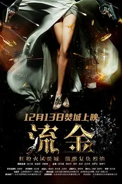 《流金》封面
