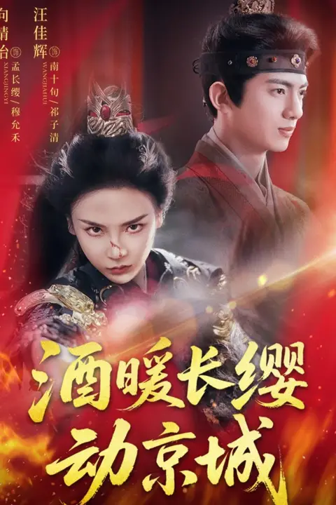 《酒暖长缨动京城》封面
