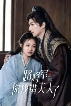 《路将军你找错夫人了》封面
