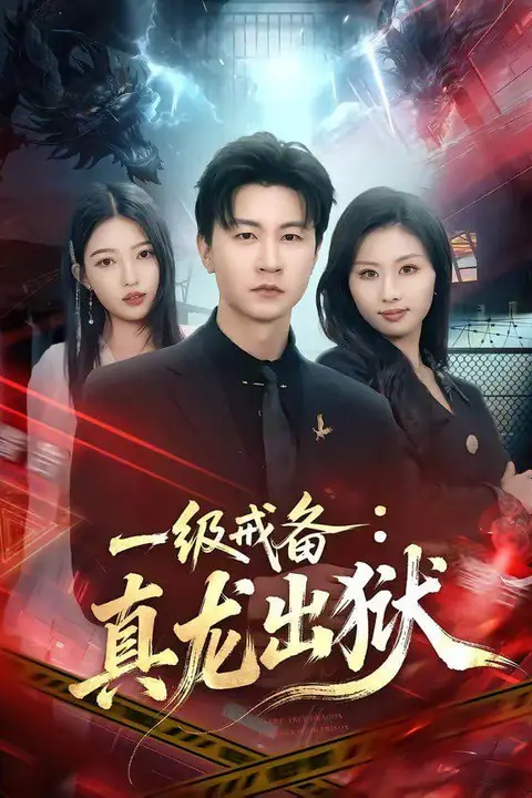 《一级戒备:真龙出狱》封面