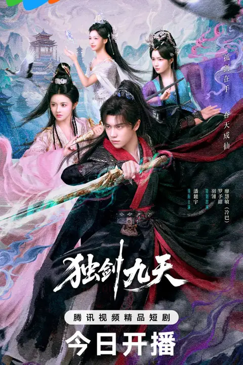 《独剑九天》封面