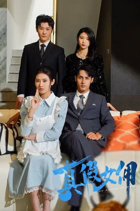 《真假女佣》封面