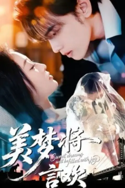 《美梦将言欢》封面