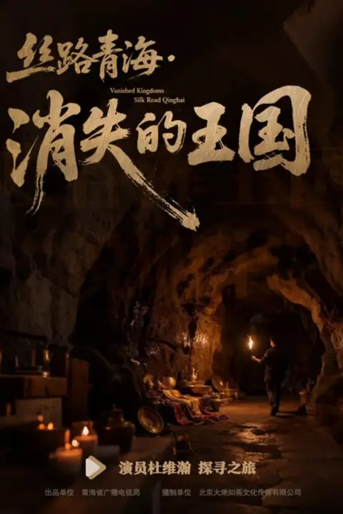 《丝路青海消失的王国》封面