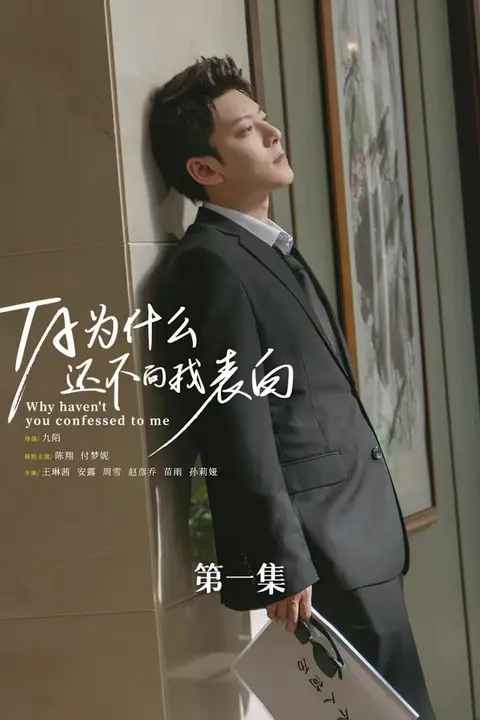 《他为什么还不向我表白》封面