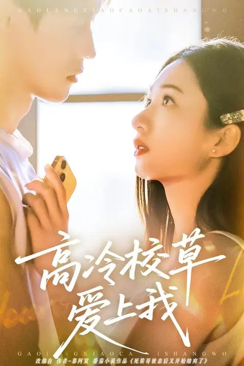 《高冷校草爱上我》封面