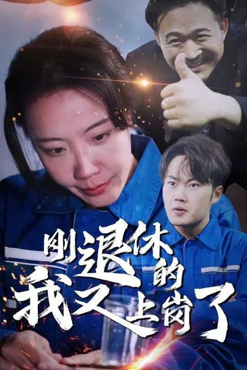《刚退休的我又上岗了》封面