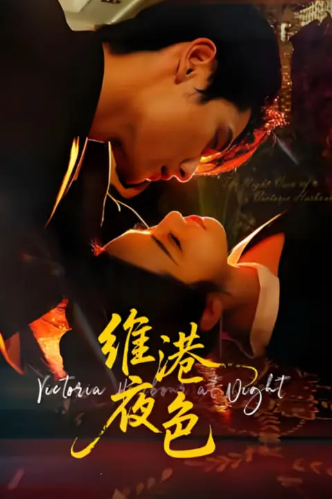 《维港夜色(港城回响)》封面