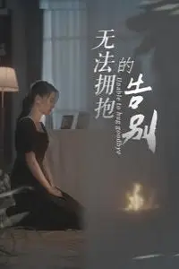 《无法拥抱的告别》封面