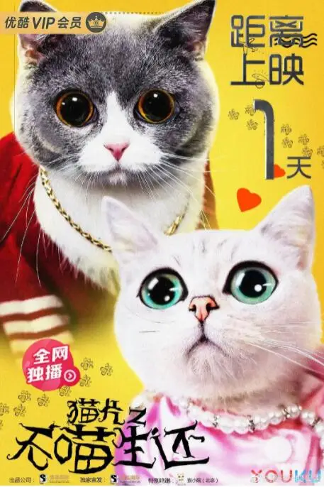 《猫片之无喵生还》封面
