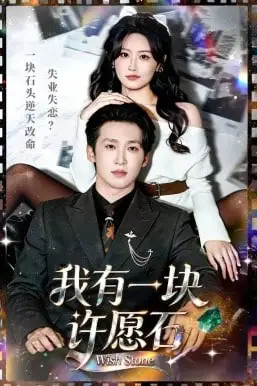 《我有一块许愿石》封面