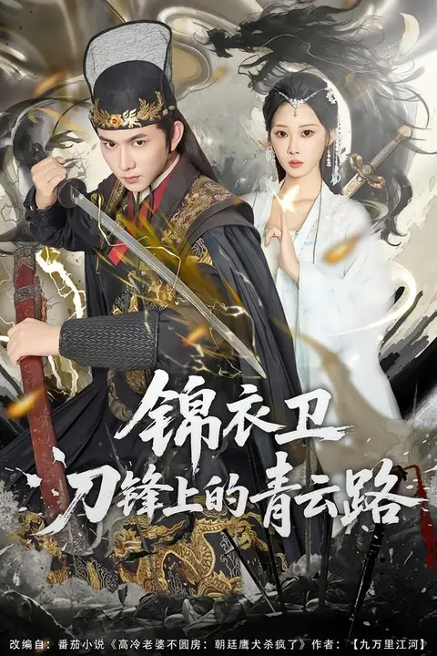 《锦衣卫刀锋上的青云路》封面