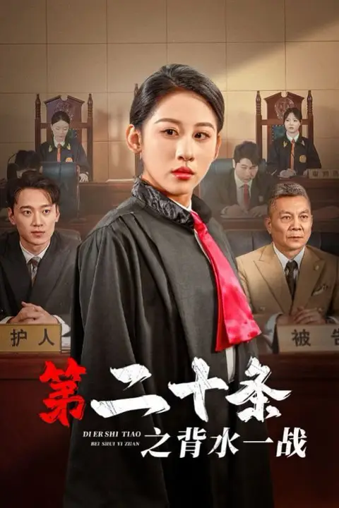 《第二十条之背水一战》封面