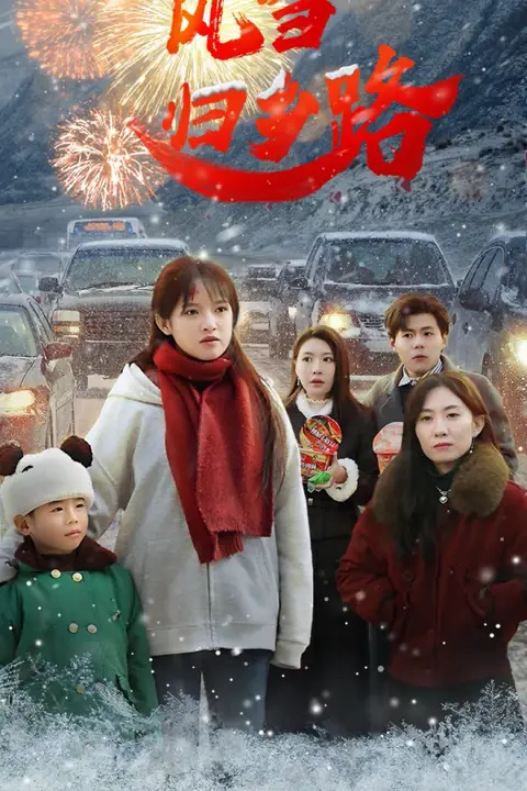 《风雪归乡路》封面
